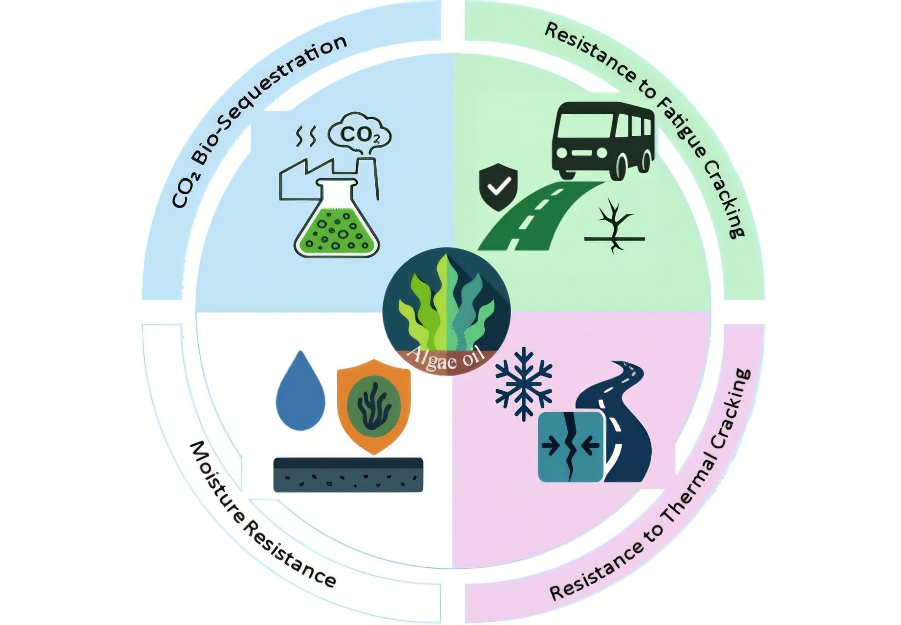 Ново биозврзувачко решение од алги за подолг век на асфалтот и помал екологиски отпечаток