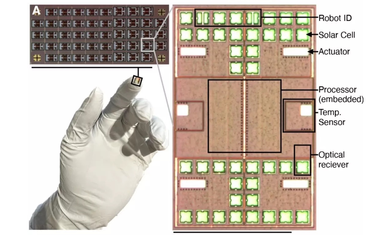 Нанотехнолошки минијатурни роботи: нова реалност во движњето и контрола на микросистеми