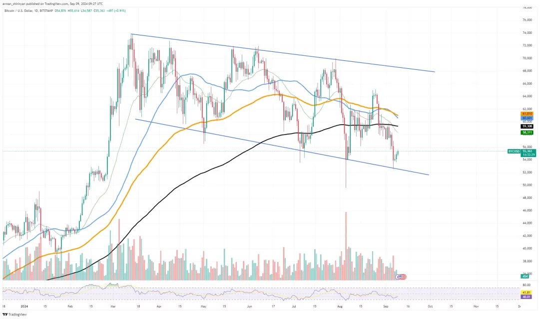 Балини Крипто Трајно Подготвени: Анализа на Пазарот и Поттикнувачки Патеписи за BTC