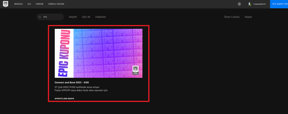 Epic Games Store Новогодишна распродажба: 130 ТЛ купон за попуст и услови за користење