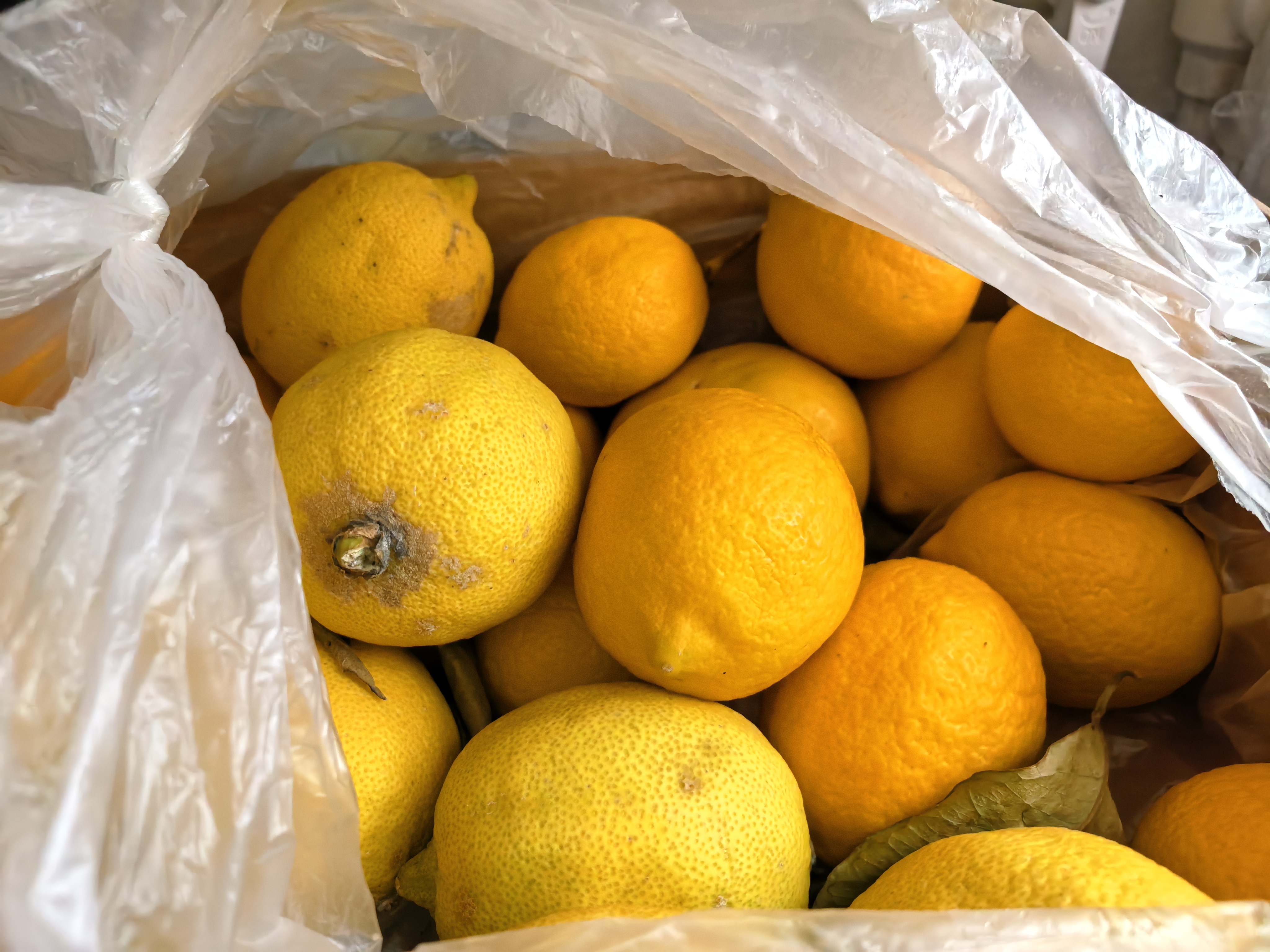 Huawei nova 14 Pro: Врвни фото можности во средна цена со AI и Ultra Instant Shot