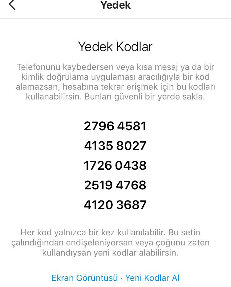 Опоравување на Instagram: безбедносни кодови, двојна автентикација и резервни опции