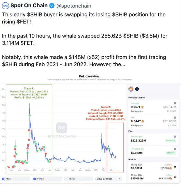 Балинка која избра две алткоини: NEIRO и FET во месечна сметка