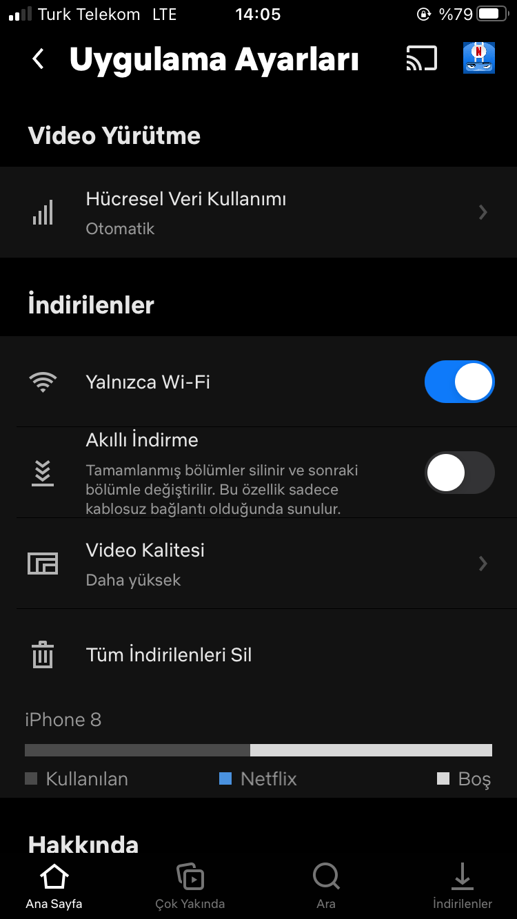 Netflix Преземање и Прилагодување: Како да преземете серии и филмови и да ја подобрите квалитетата на прегледување