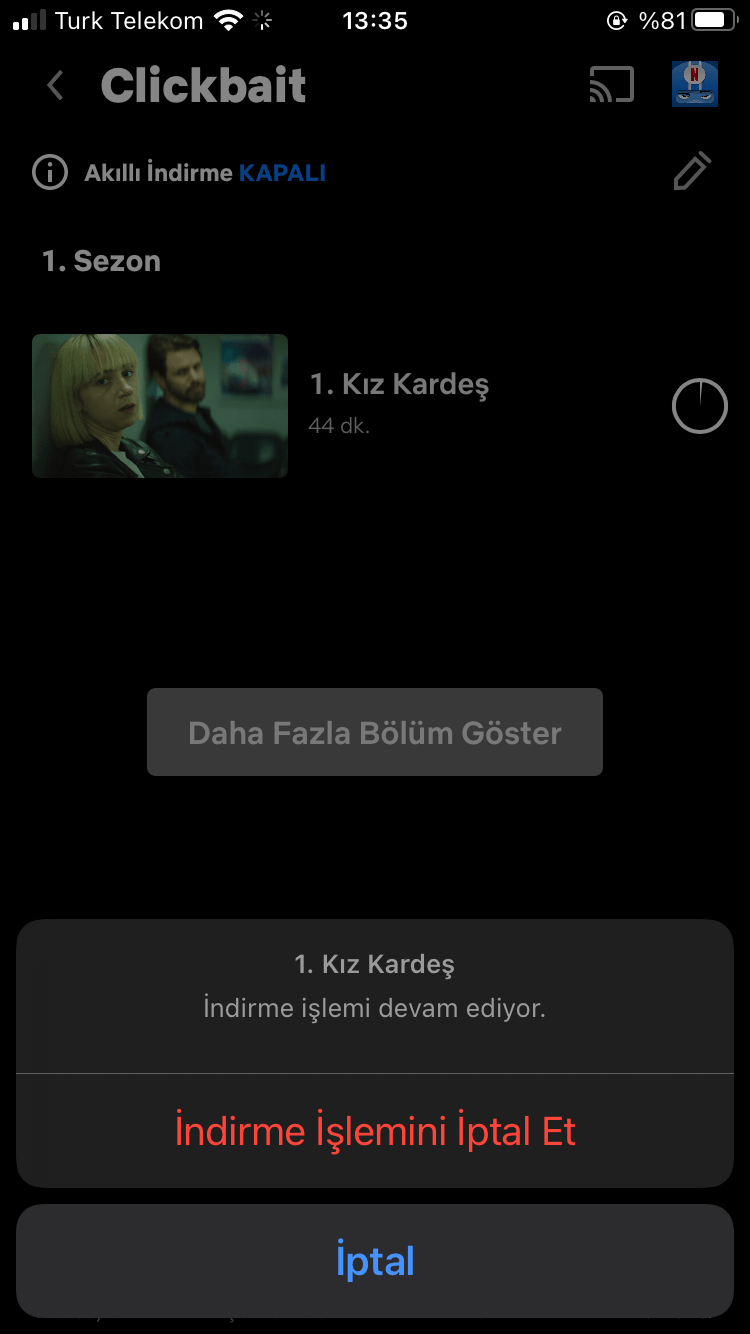 Netflix Преземање и Прилагодување: Како да преземете серии и филмови и да ја подобрите квалитетата на прегледување