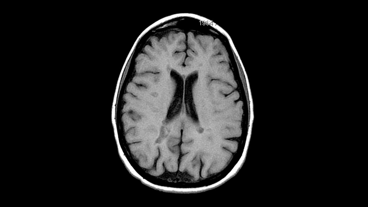 AI Во Светот Овој Недел: Нови Модели, Биомиметички Роботи и Дигитални Трендови