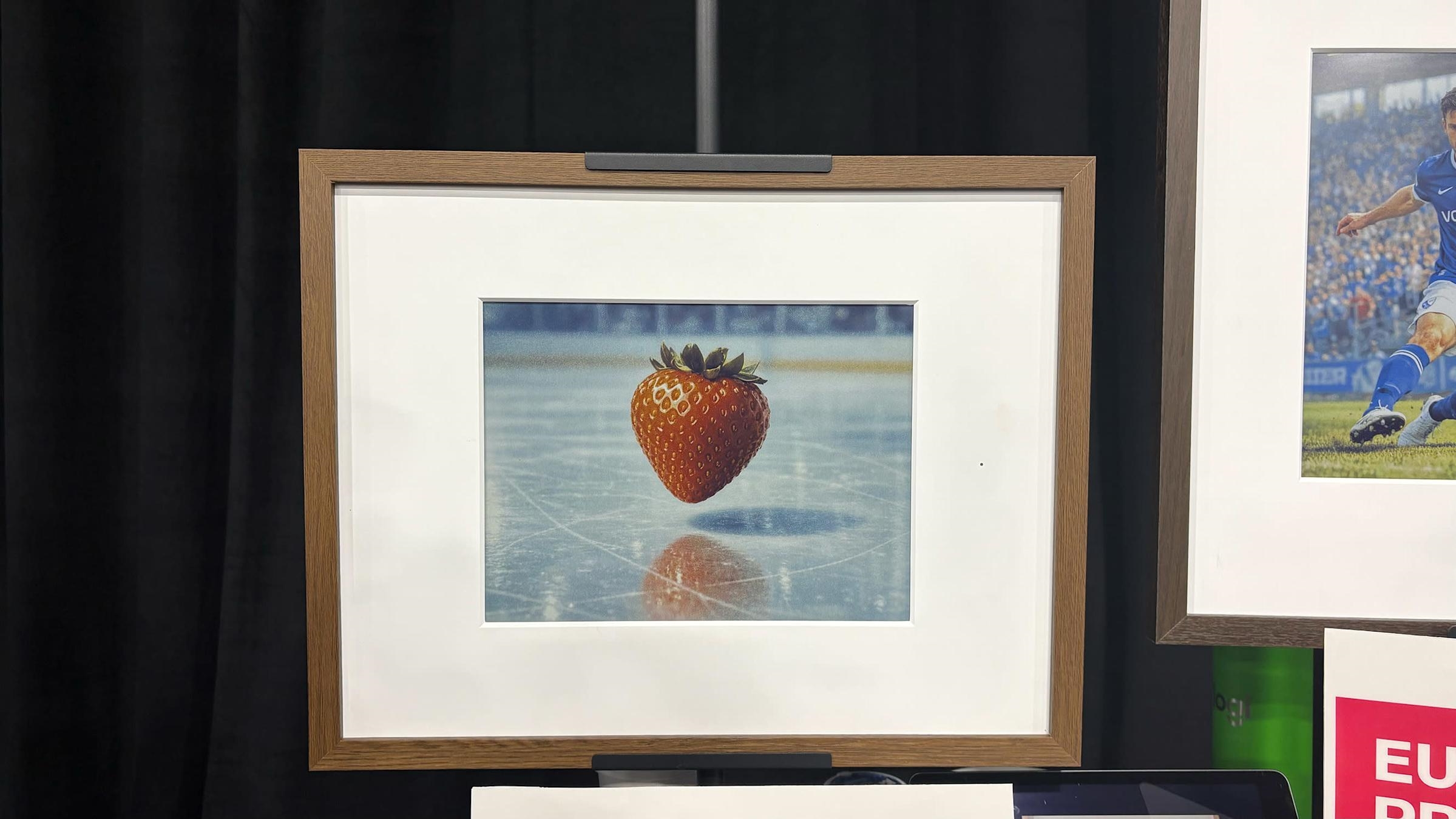 Fraimic: Искусниот интелект за дигитални слики и ценовни информации