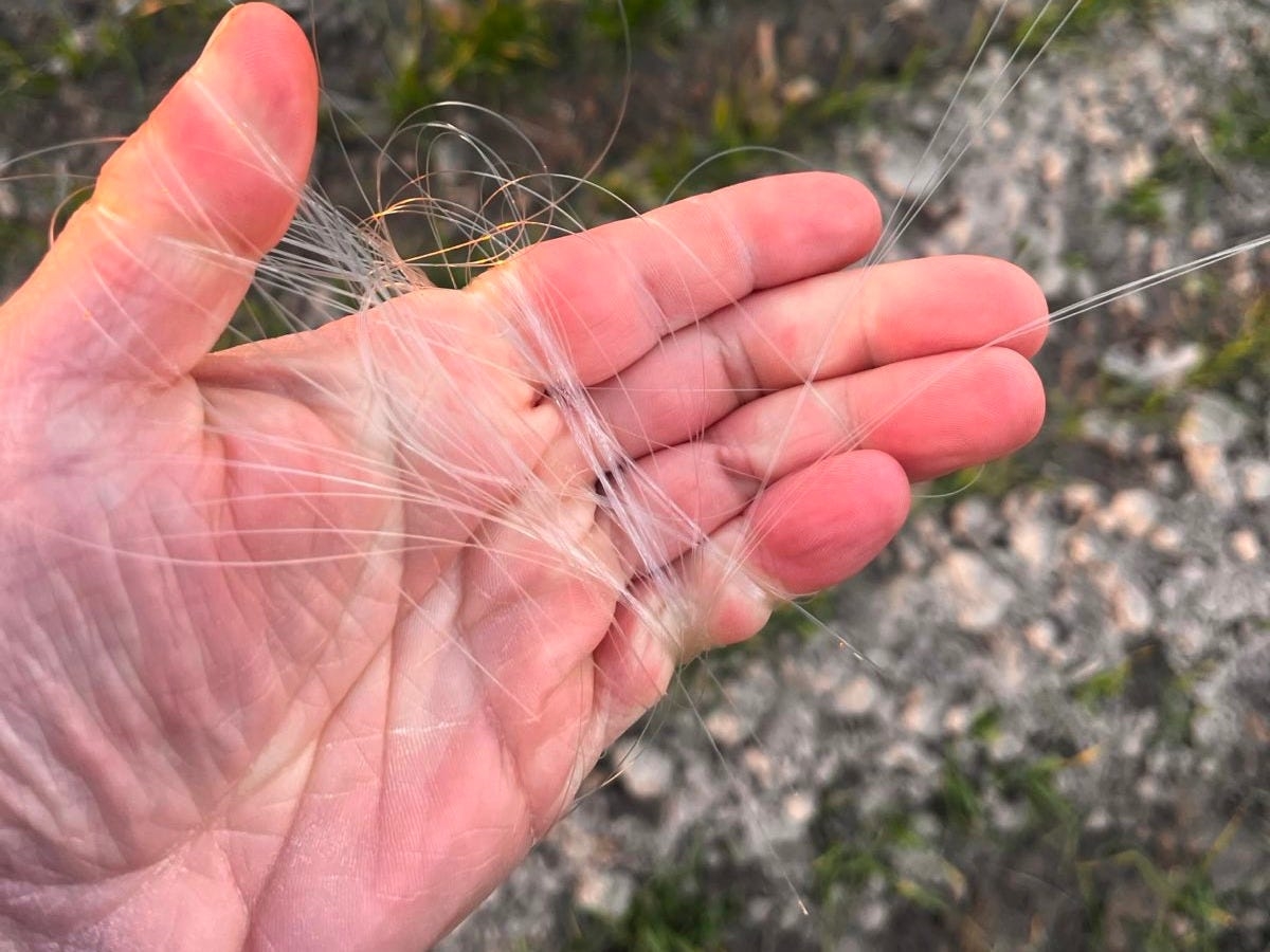 Лајман со фибер-оптички мрежи за беспилотни летала: Нов јазик на војната и тековните ефекти