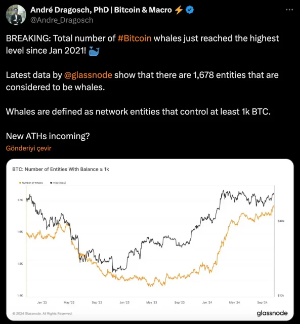 Балините и добивката од Битојн: Бројот на портфолија со над 1.000 BTC достигна рекордни нивоа