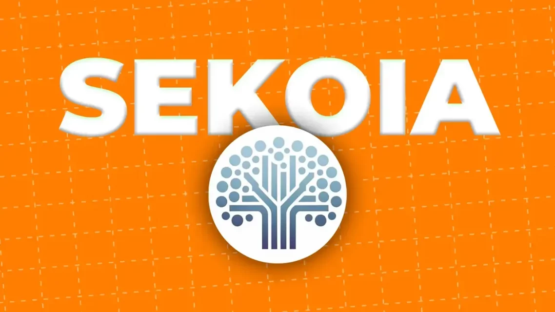 2025 İçin Takip Edilecek 20 Altcoin: Alex Wacy’nin Listesi ve Piyasa Manzarası