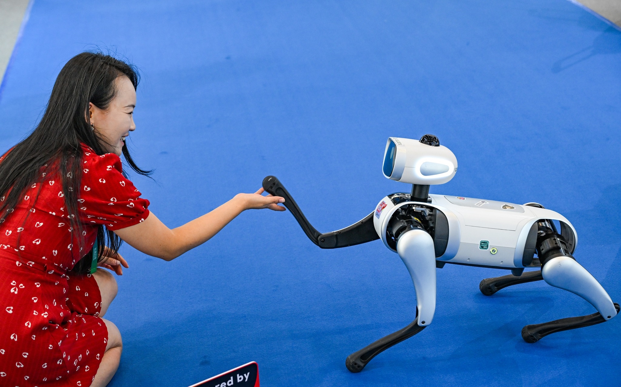 Тешкиот пат и стратегии во конкуренцијата за AGI: Дали САД остануваат пред?