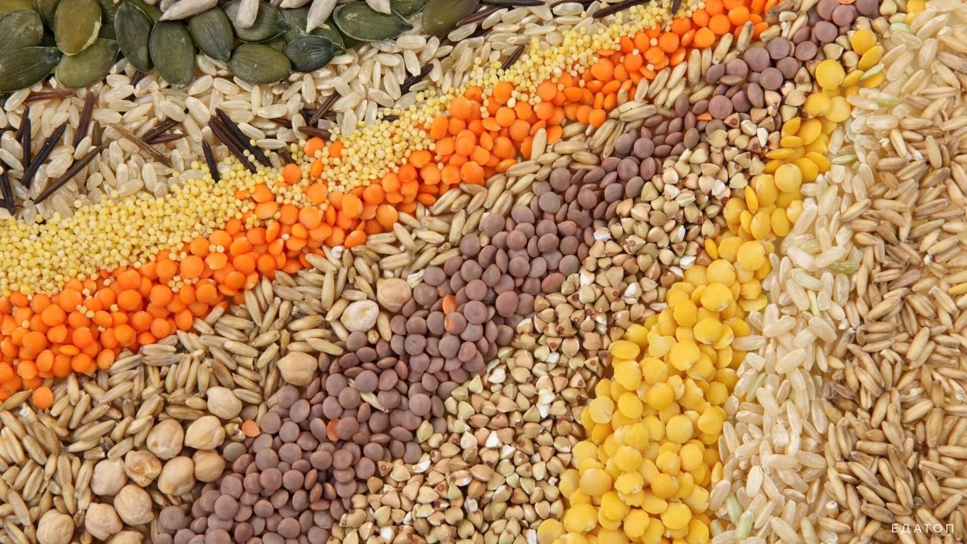 Зголемувањето на CO2 во атмосферата промовира промени во нутритивната вредност на храната: Детално истражување на 43 производи