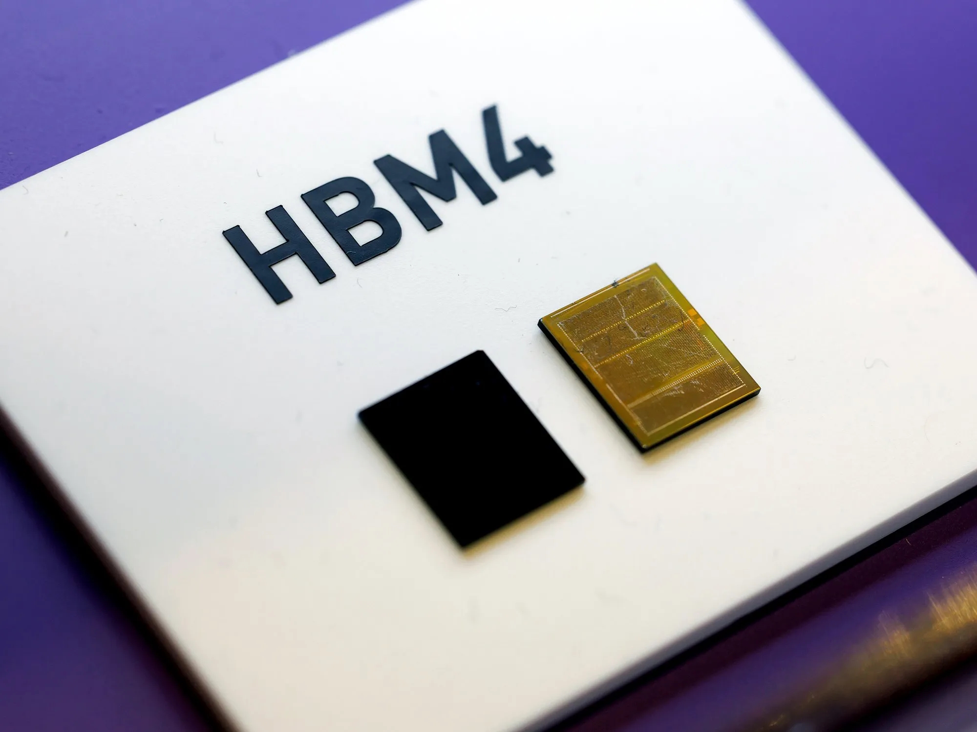 Проблемот со кризата во меморијата – кога и како ќе се реши?