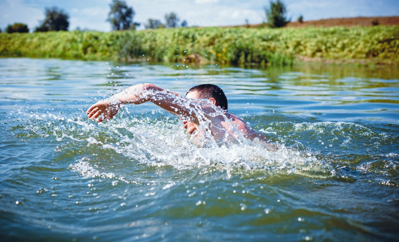 Бели амеби кои живеат слободно и опасност од мозочна инфекција: Активна проценка за Naegleria fowleri