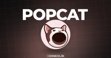 Popcat Memecoin: Вирусно искуство во еко-системата на Solana и фокусираност кон заедницата