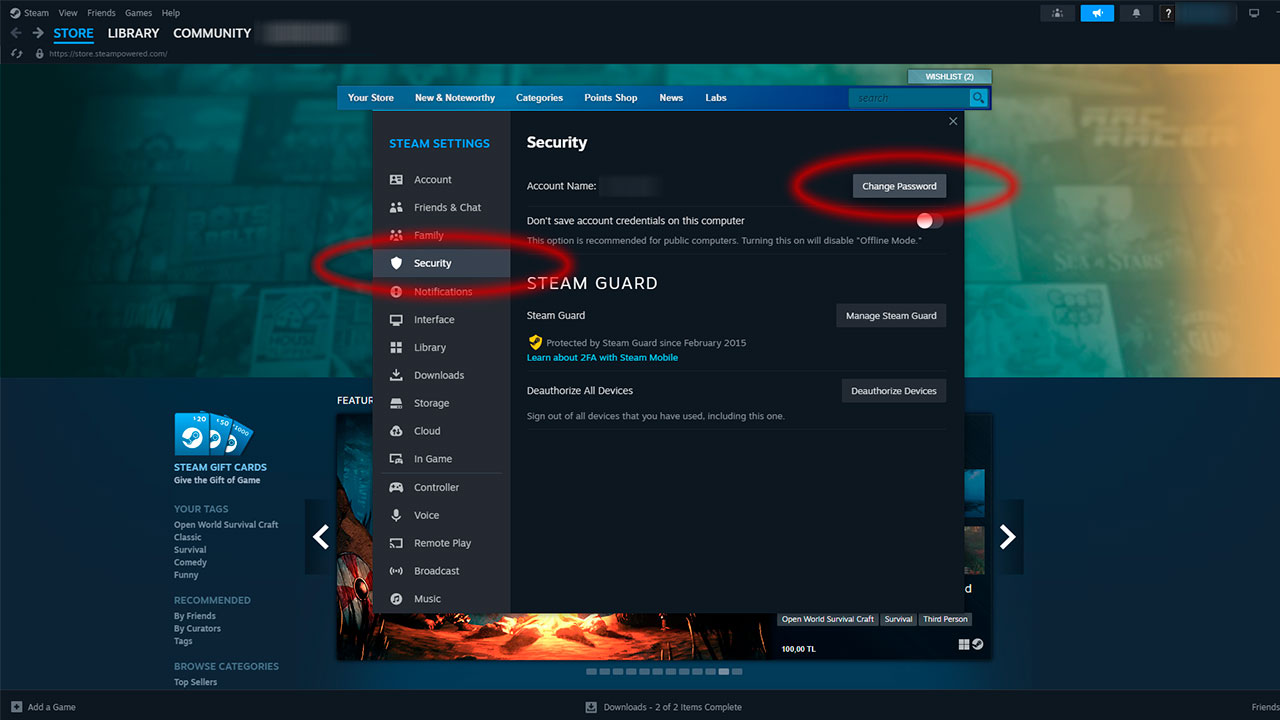 Руководство за безбедност на Steam лозинка: чекор по чекор за промена на лозинка и совети