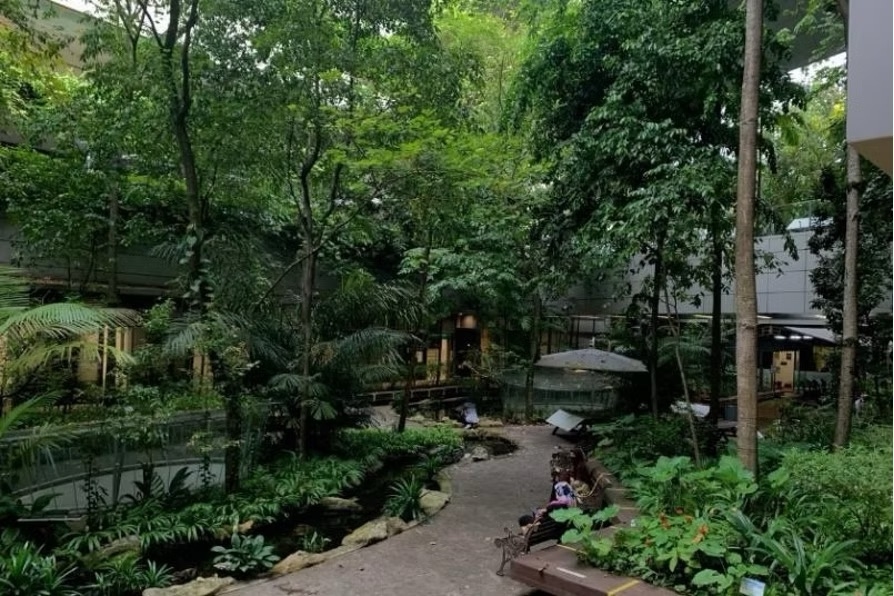 Khoo Teck Puat Болница: Интегриран градски болнички комплекс со природа и биолошка разновидност